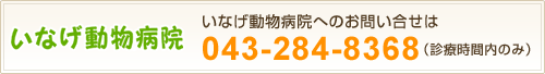 電話番号は043-284-8368です。