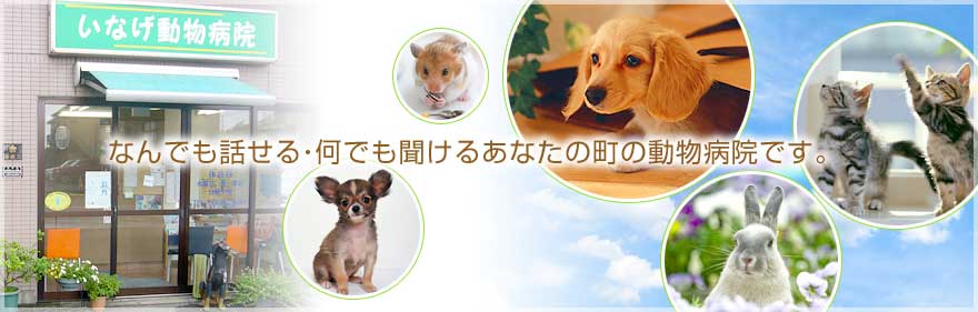 何でも話せる・何でも聞けるあなたの町の動物病院です。